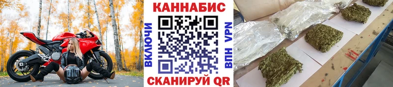 Канабис сатива  Ульяновск 